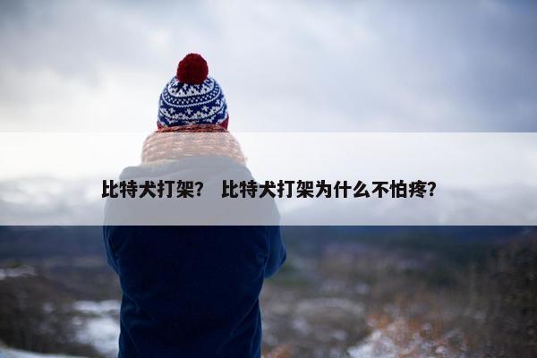 打架 第2页