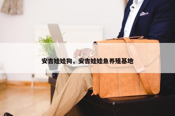 安吉娃娃狗，安吉娃娃鱼养殖基地