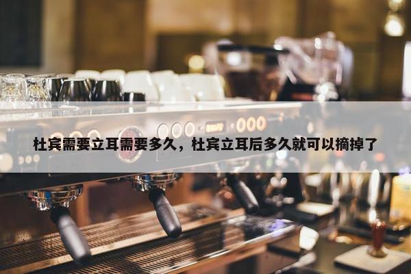 杜宾需要立耳需要多久，杜宾立耳后多久就可以摘掉了