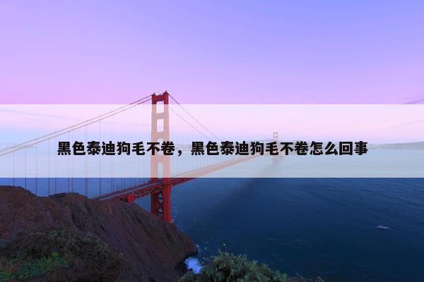 黑色泰迪狗毛不卷，黑色泰迪狗毛不卷怎么回事