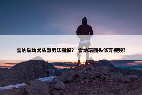 雪纳瑞幼犬头部剪法图解？ 雪纳瑞圆头修剪视频？