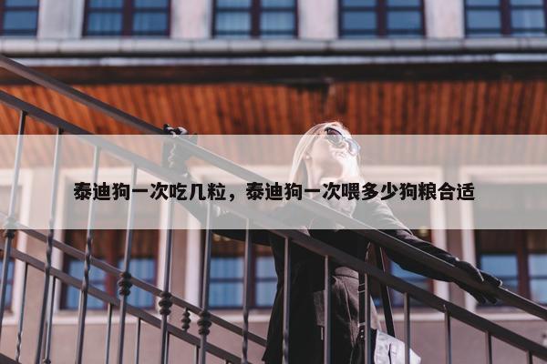 泰迪狗一次吃几粒，泰迪狗一次喂多少狗粮合适