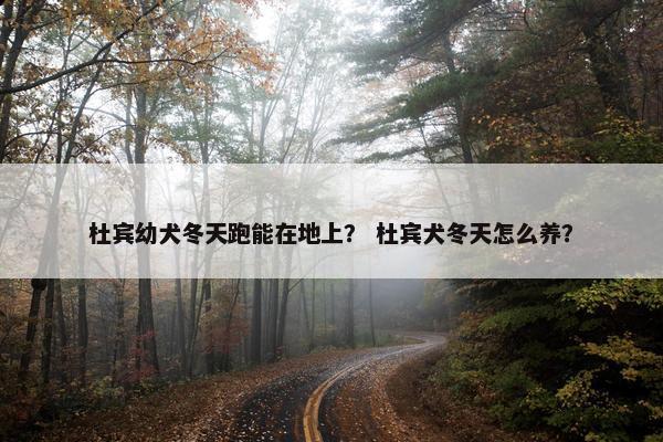 杜宾幼犬冬天跑能在地上？ 杜宾犬冬天怎么养？