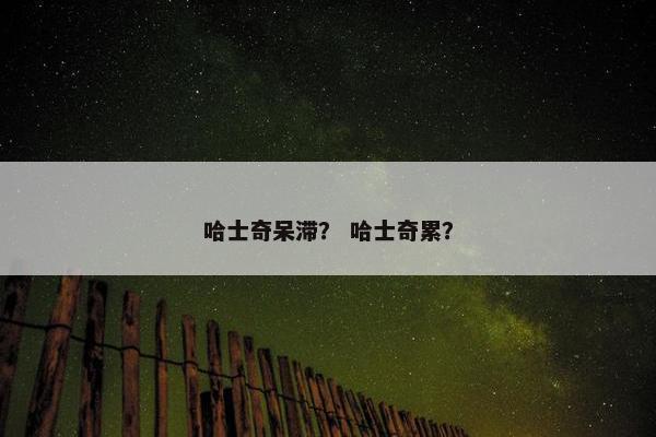 哈士奇呆滞？ 哈士奇累？