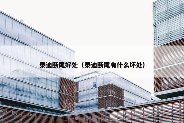 泰迪断尾好处（泰迪断尾有什么坏处）