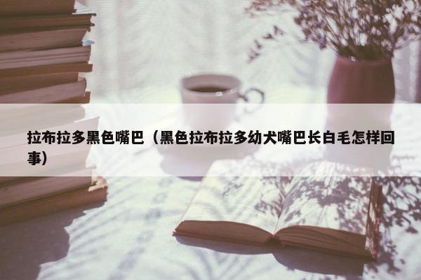 拉布拉多黑色嘴巴（黑色拉布拉多幼犬嘴巴长白毛怎样回事）