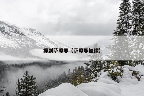 责任