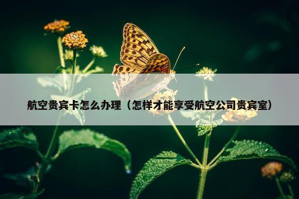 航空贵宾卡怎么办理（怎样才能享受航空公司贵宾室）