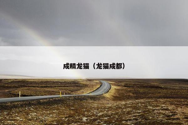 成精龙猫（龙猫成都）