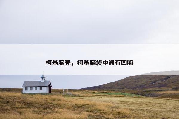 柯基脑壳，柯基脑袋中间有凹陷