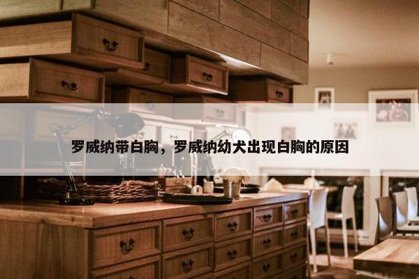 罗威纳带白胸，罗威纳幼犬出现白胸的原因