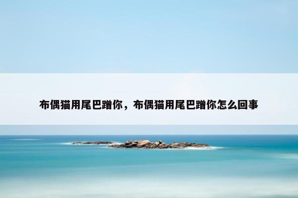布偶猫 第14页
