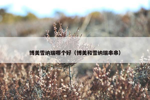 博美雪纳瑞哪个好（博美和雪纳瑞串串）