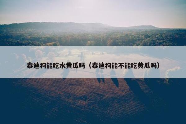 黄瓜