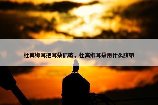 杜宾绑耳把耳朵抓破，杜宾绑耳朵用什么胶带