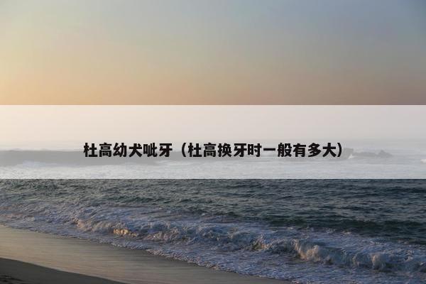 杜高幼犬呲牙（杜高换牙时一般有多大）