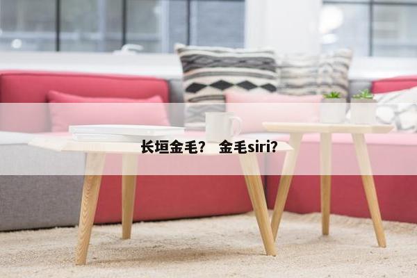 长垣金毛？ 金毛siri？