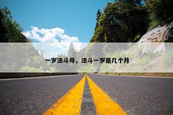 一些