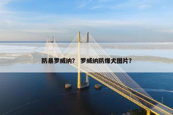 防暴罗威纳？ 罗威纳防爆犬图片？