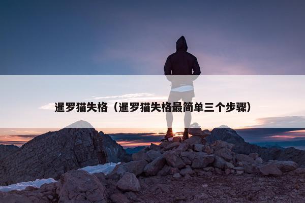 暹罗猫失格（暹罗猫失格最简单三个步骤）