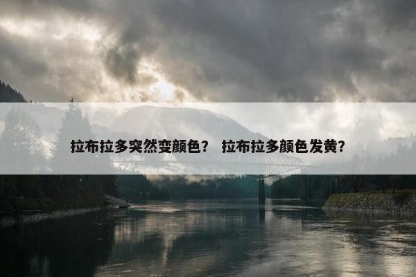 拉布拉多突然变颜色？ 拉布拉多颜色发黄？