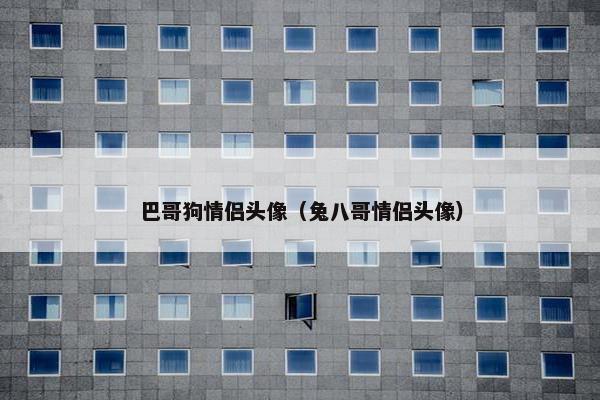 巴哥狗情侣头像（兔八哥情侣头像）