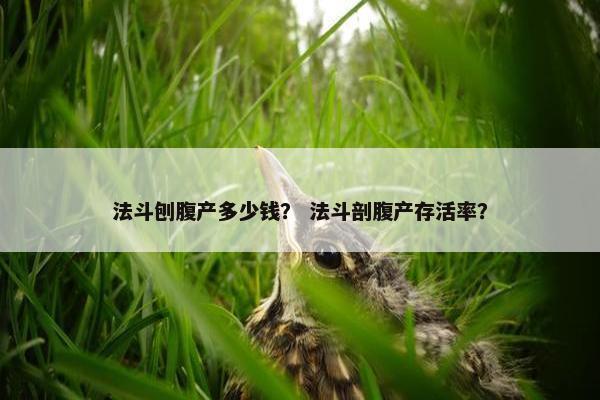 法斗刨腹产多少钱？ 法斗剖腹产存活率？