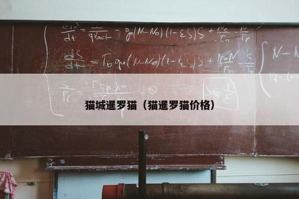 猫城暹罗猫（猫暹罗猫价格）