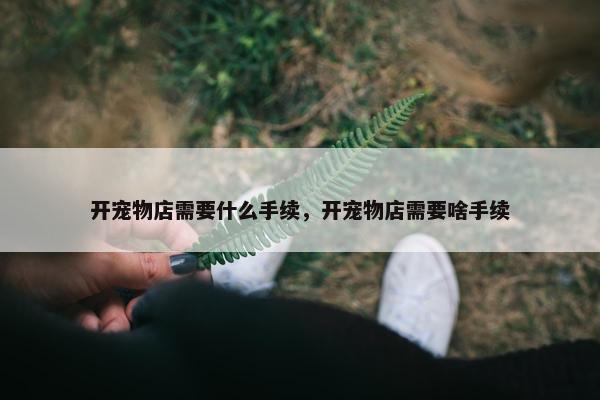 开宠物店需要什么手续，开宠物店需要啥手续