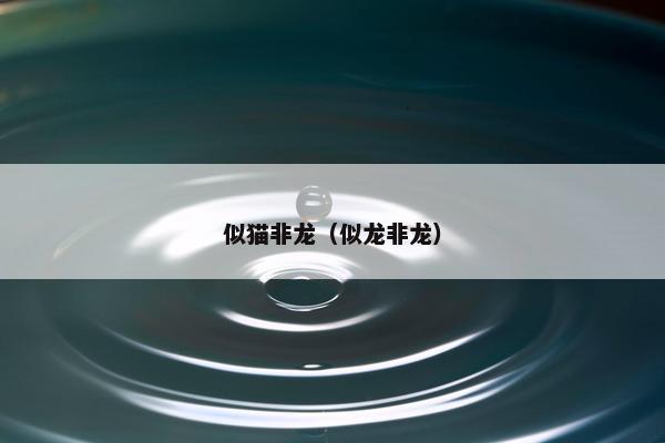 好龙