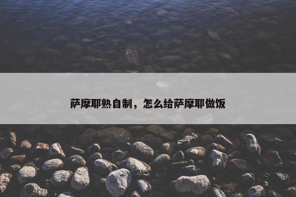 萨摩耶熟自制，怎么给萨摩耶做饭