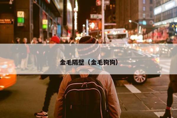 金毛隔壁（金毛狗狗）