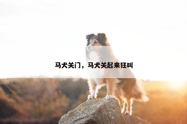 马犬关门，马犬关起来狂叫