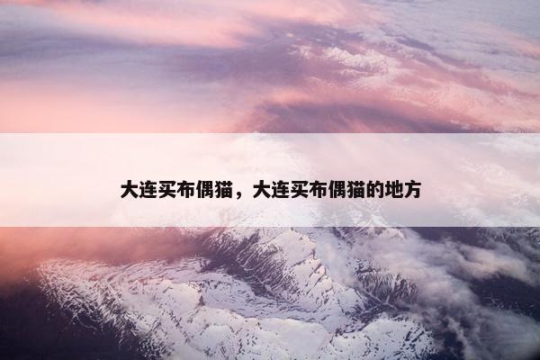 大连买布偶猫，大连买布偶猫的地方