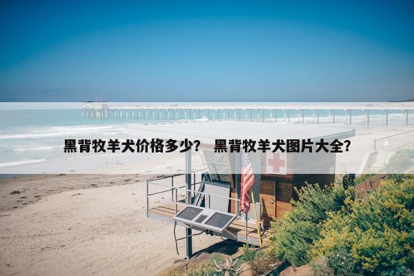 黑背牧羊犬价格多少？ 黑背牧羊犬图片大全？