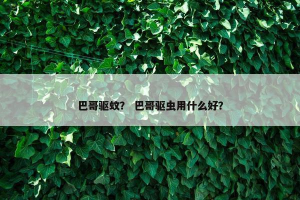 巴哥驱蚊？ 巴哥驱虫用什么好？