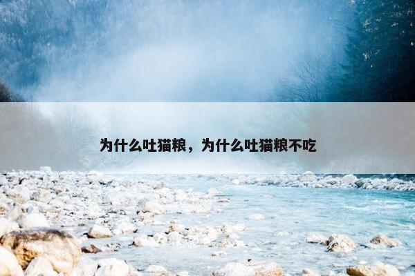 为什么吐猫粮，为什么吐猫粮不吃