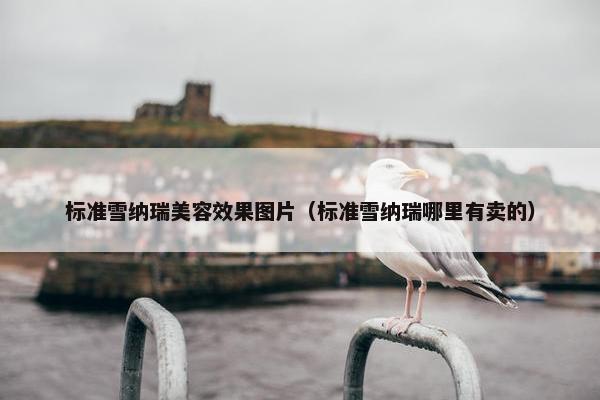 标准雪纳瑞美容效果图片（标准雪纳瑞哪里有卖的）