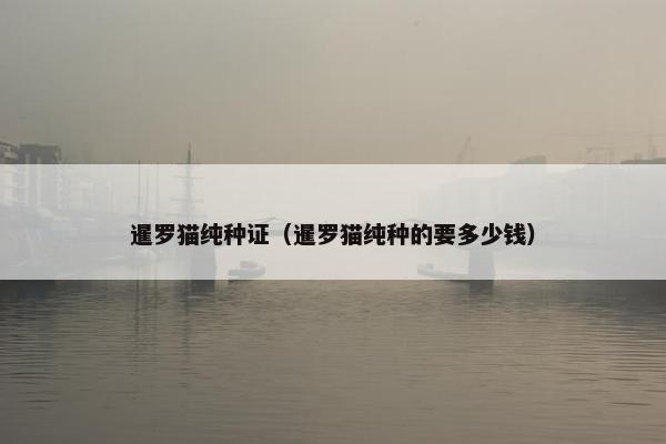 暹罗猫纯种证（暹罗猫纯种的要多少钱）