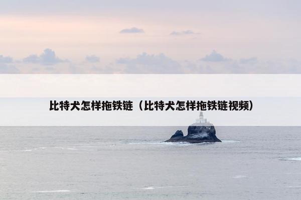 力量