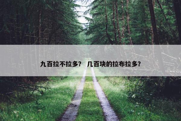 九百拉不拉多？ 几百块的拉布拉多？