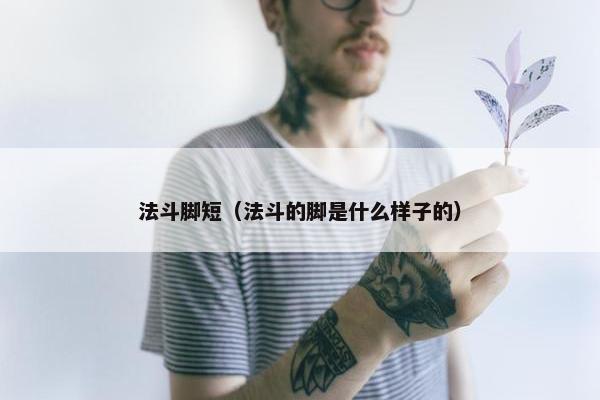 法斗脚短（法斗的脚是什么样子的）