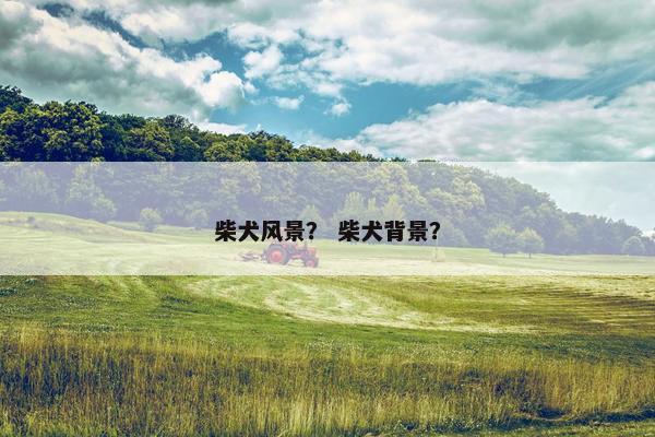 柴犬风景？ 柴犬背景？