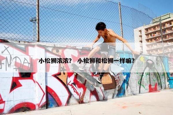 小松狮浓浓？ 小松狮和松狮一样嘛？