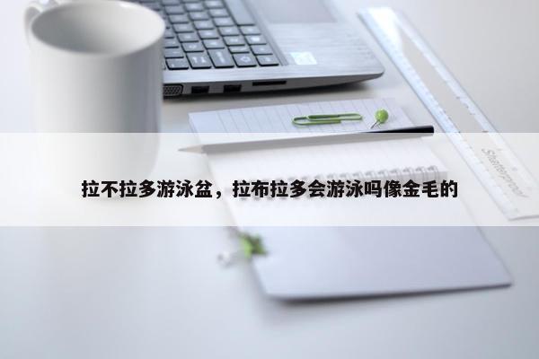 拉不拉多游泳盆，拉布拉多会游泳吗像金毛的