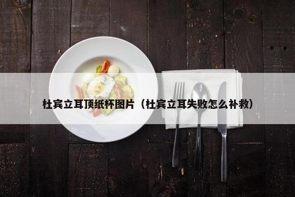 杜宾立耳顶纸杯图片（杜宾立耳失败怎么补救）