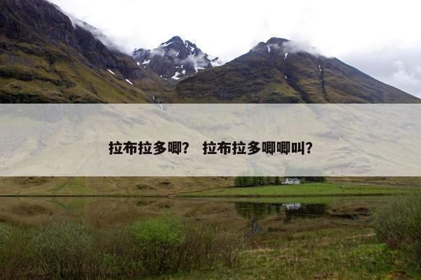 拉布拉多唧？ 拉布拉多唧唧叫？