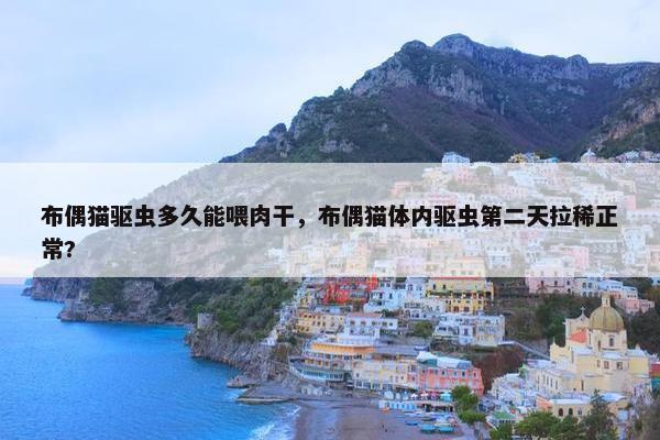 布偶猫驱虫多久能喂肉干，布偶猫体内驱虫第二天拉稀正常?