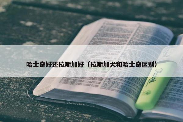 哈士奇好还拉斯加好（拉斯加犬和哈士奇区别）