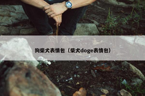 狗柴犬表情包（柴犬doge表情包）
